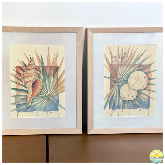 Framed Coastal Shell Art Print Set of 2 | Seashell & Sand Dollar Wall Art | ART  [AW-102]