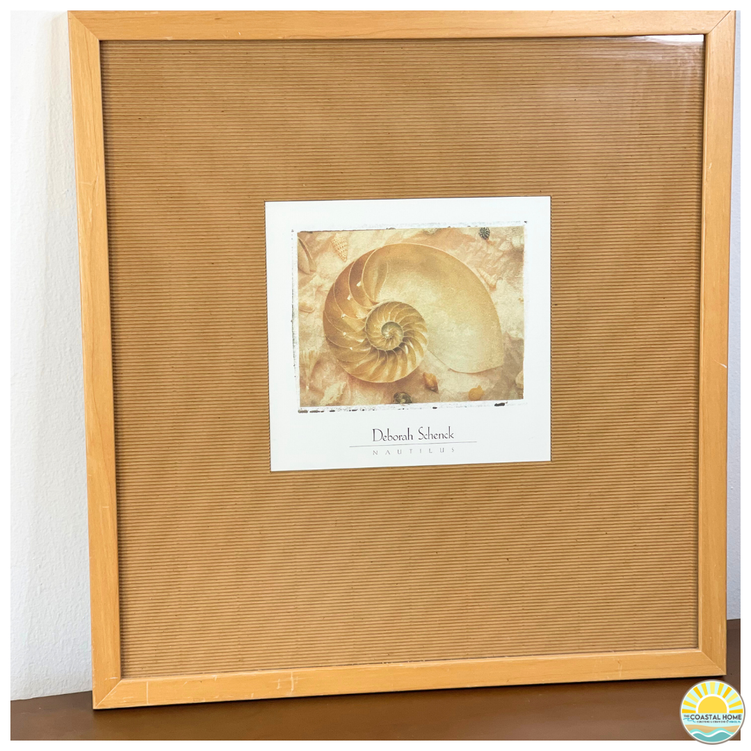 Framed Coastal Nautilus Shell Print with Textured Mat | ART  [AW-109]