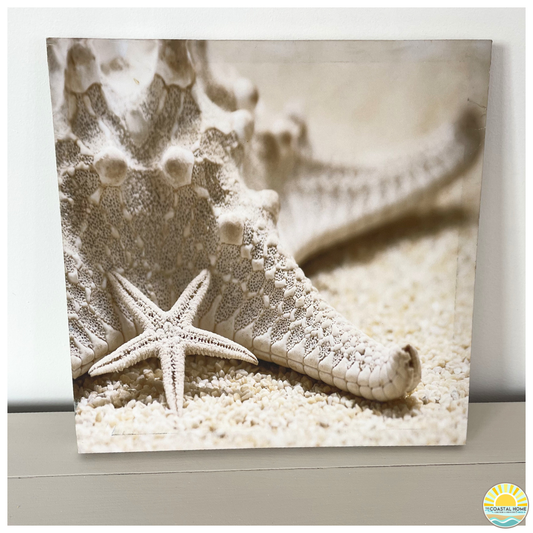 Wrapped Canvas Coastal Starfish Print| ART [AW-116]