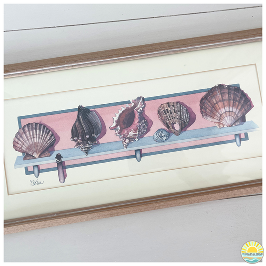 Framed Seashell Decor | ART [AW-115]