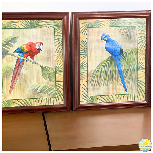Tropical Parrot Framed Artwork | Coastal Palm Bird Prints (Pair) | ART [AW-101]